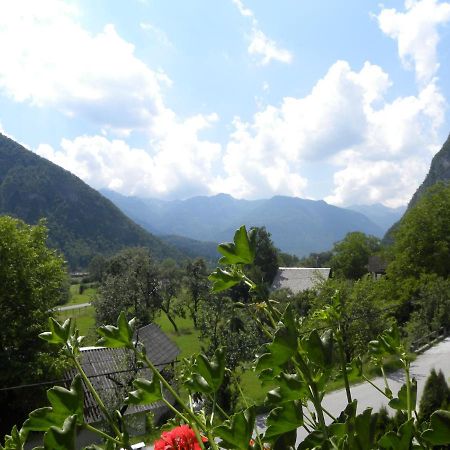 Apartma Cvetek, Srednja Vas 133 Bohinji-tó Kültér fotó