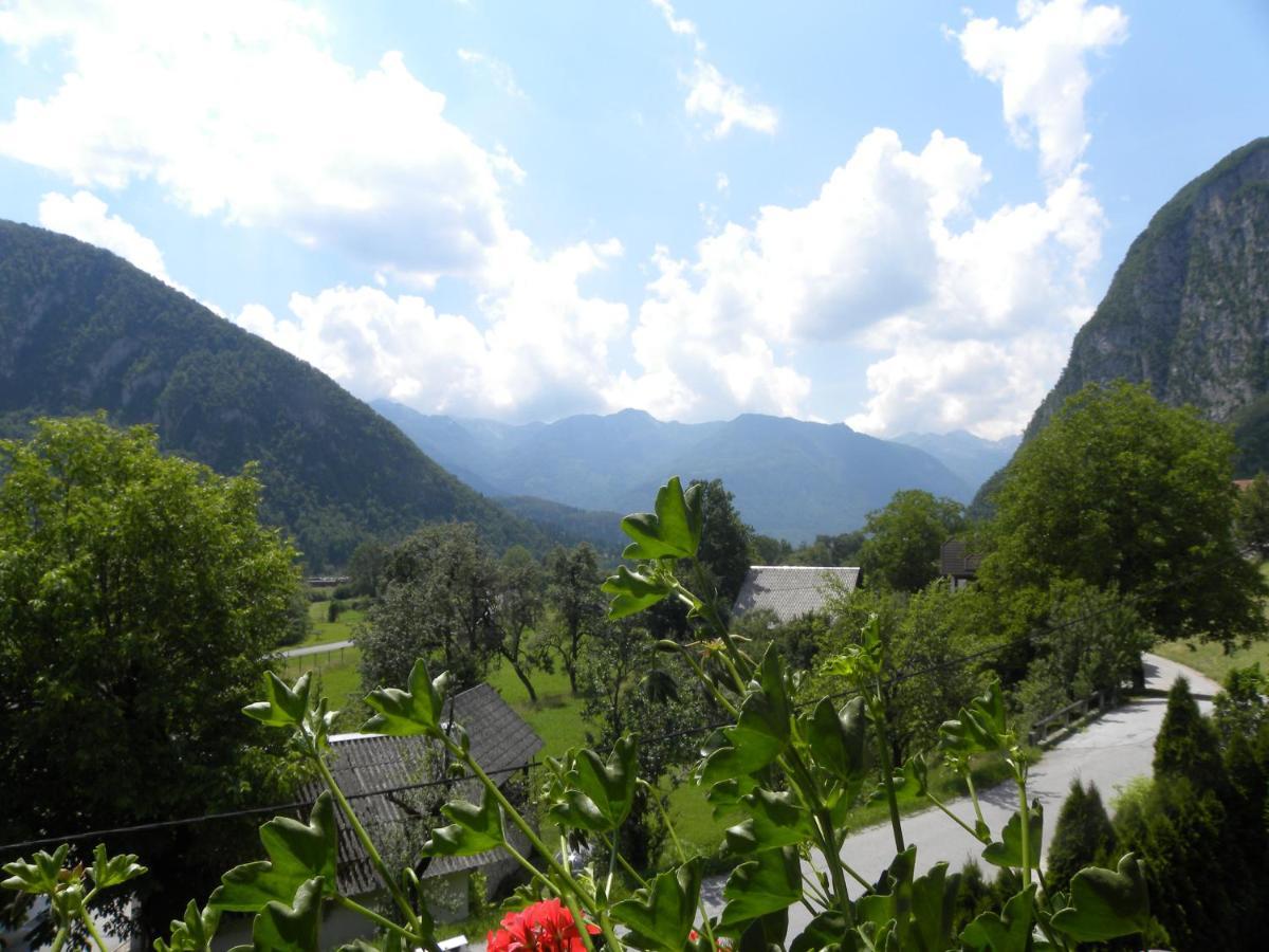 Apartma Cvetek, Srednja Vas 133 Bohinji-tó Kültér fotó